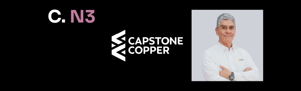 Juan Luis Oyaneder-100